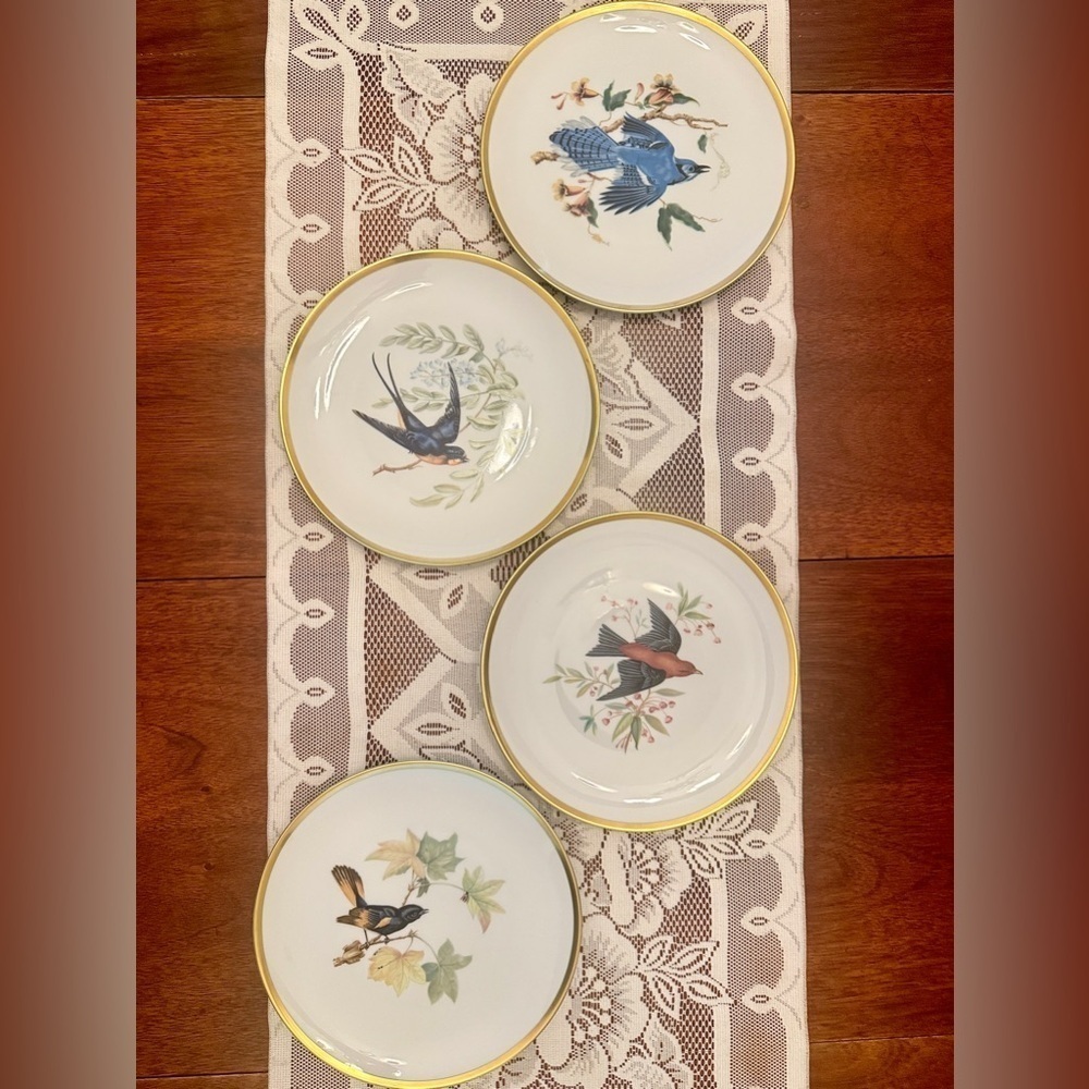 Hutschenreuther Pasco Bone China Audubon Bird Plates (8”)
